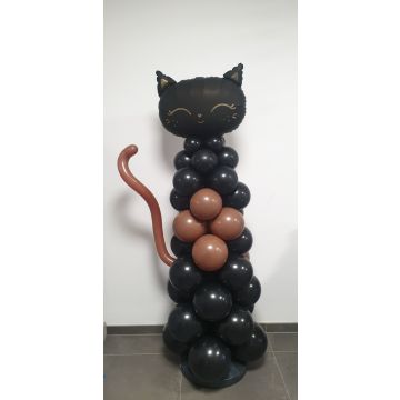 Ballon kat (klik op foto voor info)