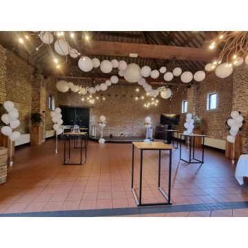 Zaaldecoratie builoft wit