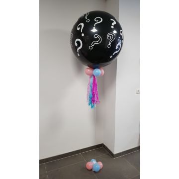 Verhoogd studie Toegepast Gender Reveal Ballonnen - Ballon decoraties op thema